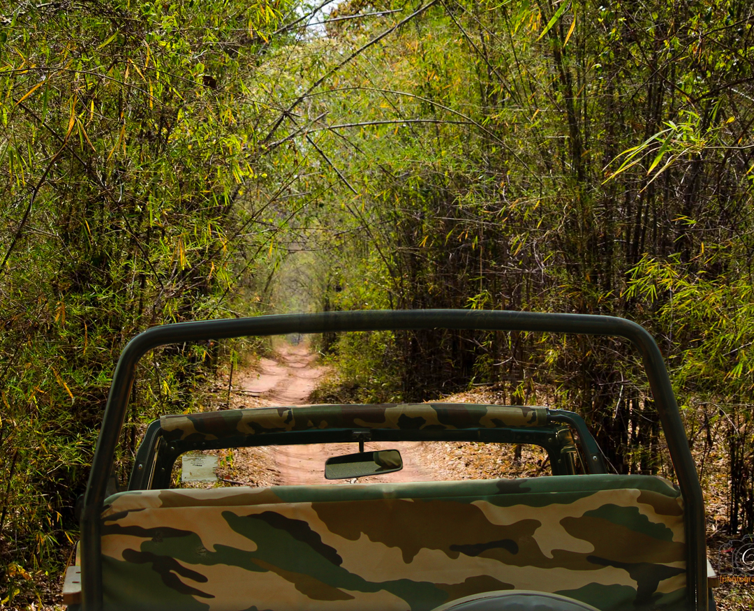 pench 1 Night 2 Days Tour Package